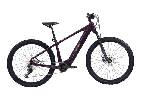 Esconder ARX Pro 29"